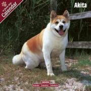 kniha akita inu.jpg